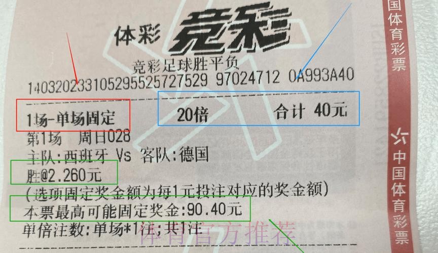 世界杯投注平台新手入门全攻略